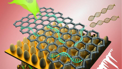 image of cells