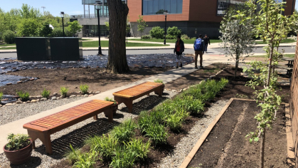 Cook Campus garden