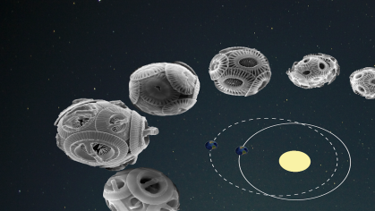 Emergence of new species of the coccolithophere (calcite producing marine algae), paced by approximately 400,000 year variations in the shape of Earth’s revolutions around the sun (eccentricity shown in inset) has been documented by the changes in the shape and size of their internal calcite plates shown here in photos obtained from scanning electron microscope. 