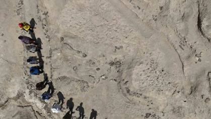 A group of researchers form a semicircle in an aerial view of a fossil site