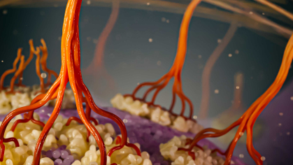 An image of orange stalk-like features emanation from a curved surface