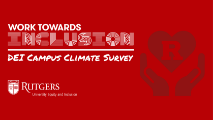 DEI survey promo image