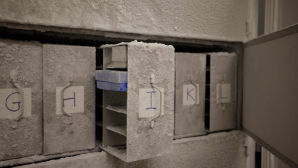 A bank of freezers labeled alphabetically.