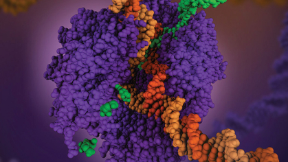 computer generated graphic of polymers