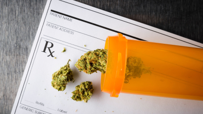 Chronic Pain Patients Back Cannabis Access Over Doctors