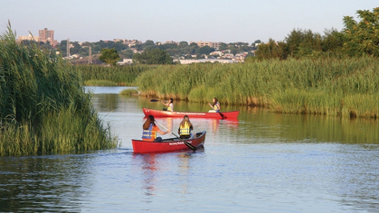 Boaters in the Estuary 