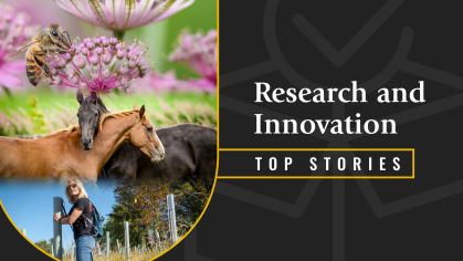 The Top Rutgers Research and Innovation Stories of 2022
