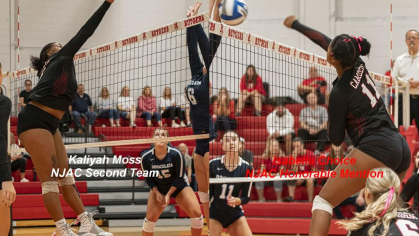 volleyball players