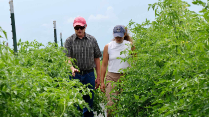 Man and woman walk through farm field.