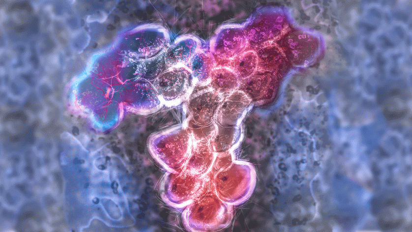 Young Children Who Walk or Bike to School Are More Likely to Continue