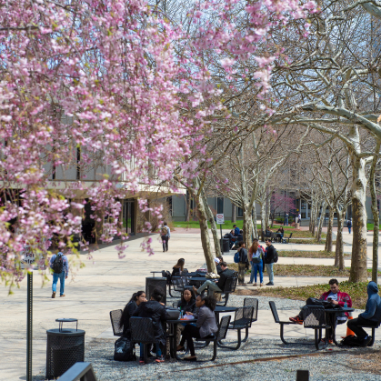 Students on the Newark campus