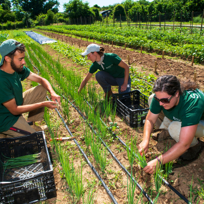 Rutgers student farm