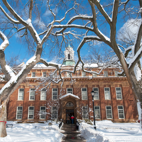 Snow shoveled entrance to Murray Hall, 2011