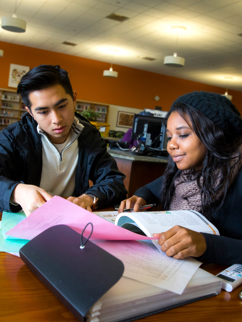 Students in the library