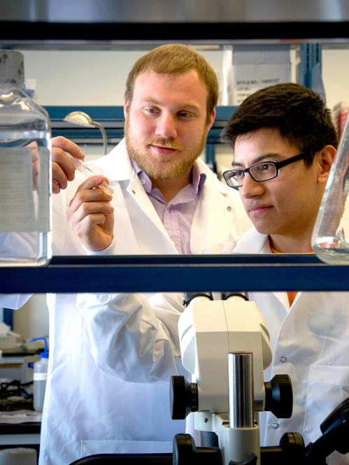 Rutgers–University Camden research