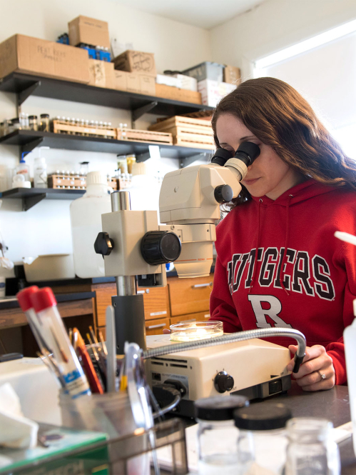 PhD Graduate Student Jessica Valenti records fish length at the Marine Field Station