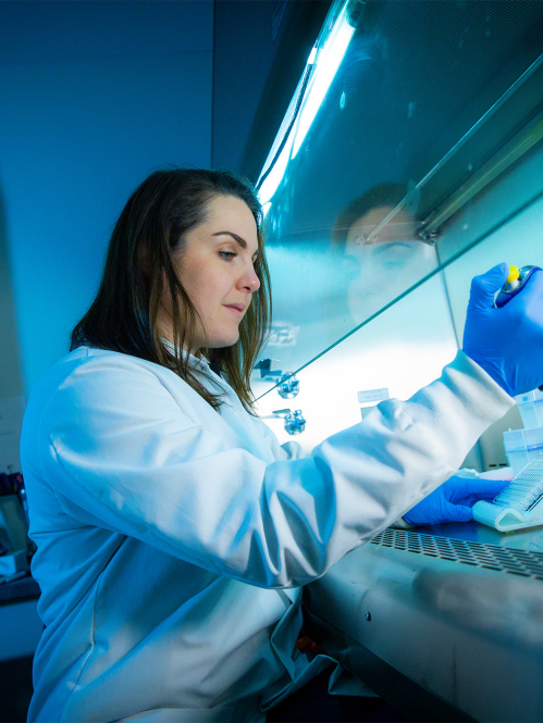 Melissa Wilkinson, a postdoctoral associate in the Joint Graduate Program in Toxicology 