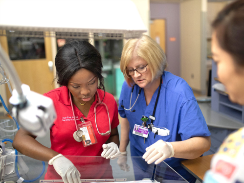 A health care professional supervising a student nurse