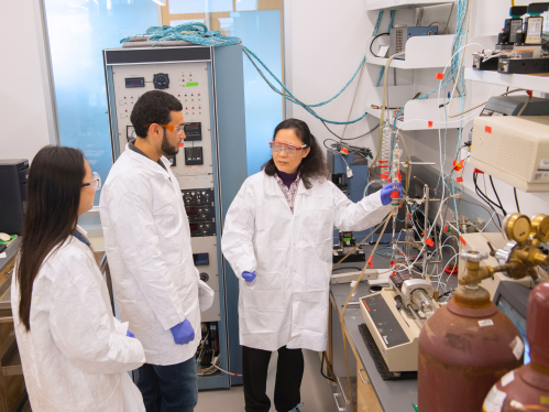 Grad students working in a lab