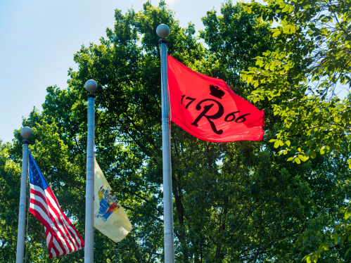 Flags on campus