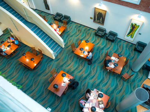 Students studying in the library