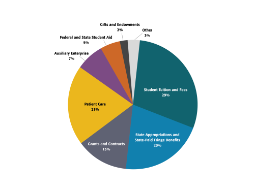 Revenues pie chart
