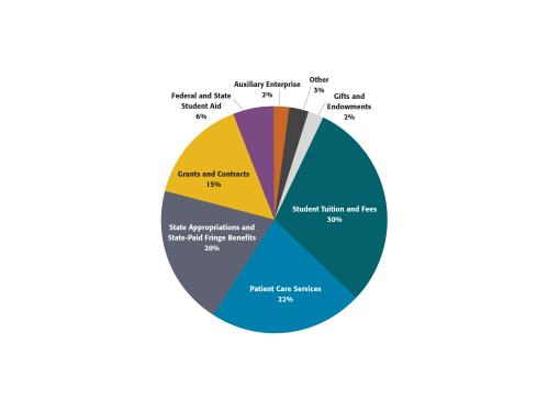 Budget Revenue Chart