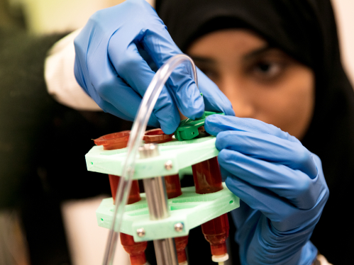 Adeela Khatoon (SOE '19) works with a biomedical 3d printer