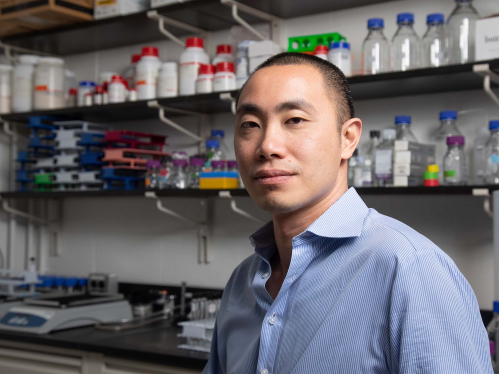 Computer Science professor Desmond Lun in lab B08 in Camden