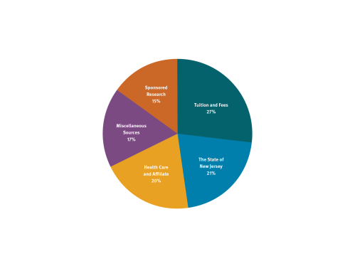 Pie chart of FY24-25 revenue
