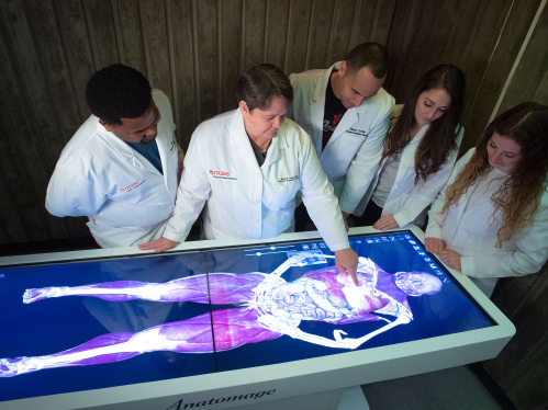 Medical students working with a Virtual Cadaver