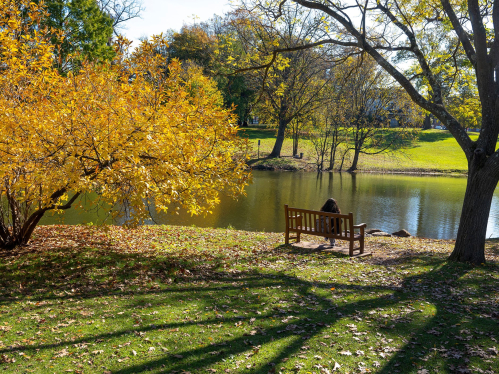 A student enjoys view of Passion Puddle on a fall day on Cook campus