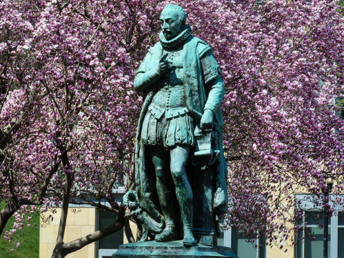 Magnolia trees in bloom on Voorhees Mall surrounding statue of Willie the Silent on an early spring day.