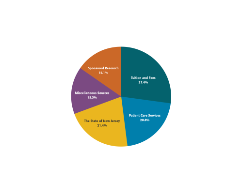 Pie chart of FY23-24 revenue