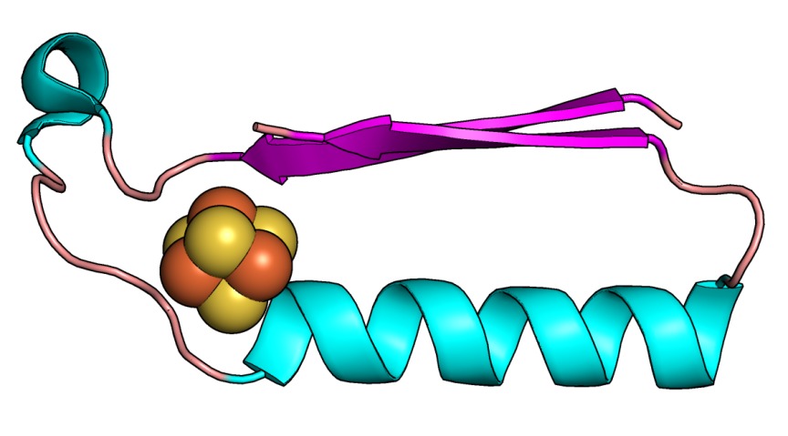 The fold appears as a twist of blue with a thin strand connected to a pink section and curled green section