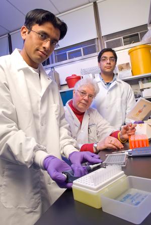 Ankit Shah, from left, Assistant Research Professor Patricia Buckendahl, and Muhammad Shahid at the Center of Alcohol Studies.