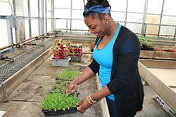 Computational Biology Summer Program