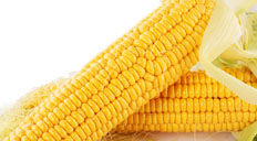 Corn