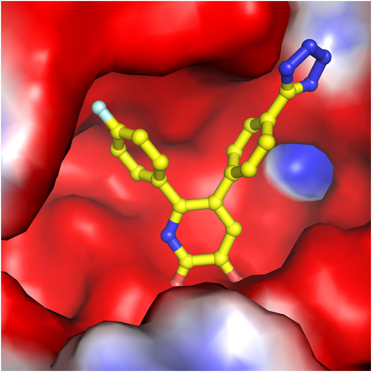 flu blocking molecule