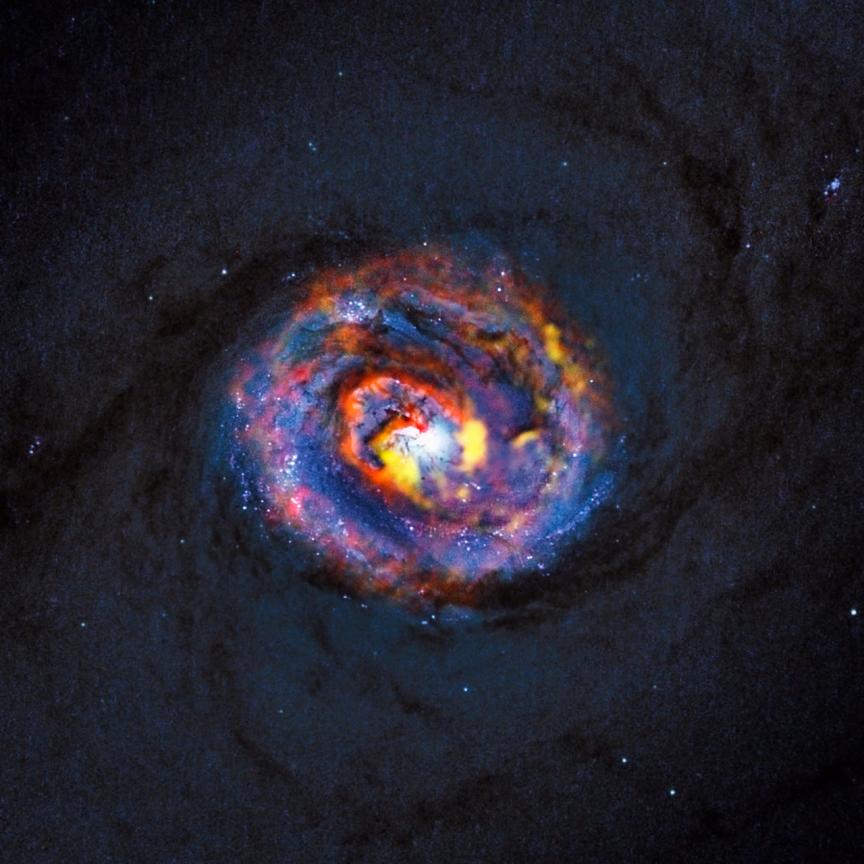 NGC 1433 Galaxy