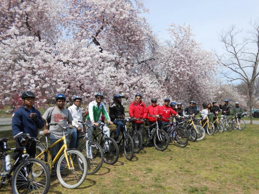 2013's Cherry Blossom Bike Ride