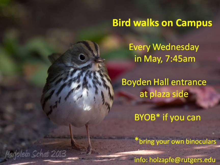 birding in newark