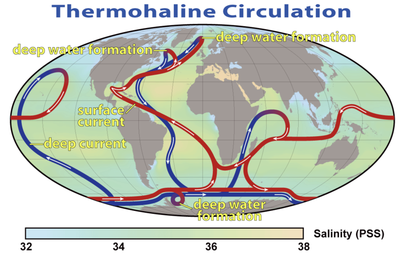 Thermohaline275