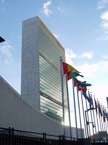 UN flags