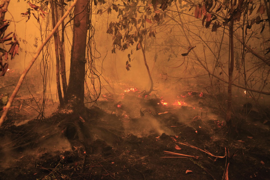 Indonesian fires