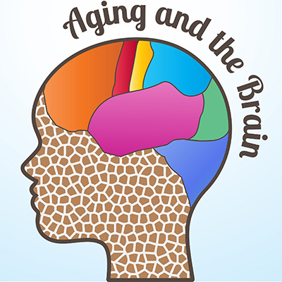 Aging Brain