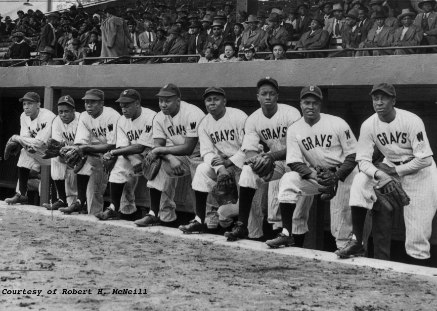 Homestead Grays