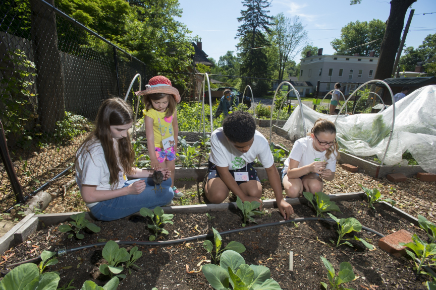 Montclair Community Garden