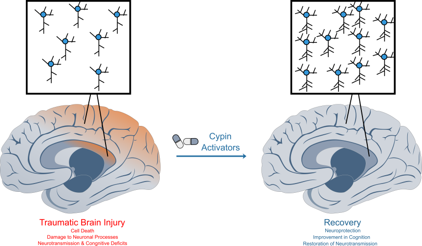 The Role of Bubbles in Brain Injury