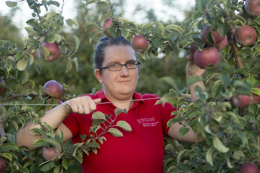 Rutgers Today, Rutgers News - Rutgers Researcher is Bringing Back New Jersey’s Hard Cider Industry, Megan Muehlbauer at Sndyer Research and Extension Farm
